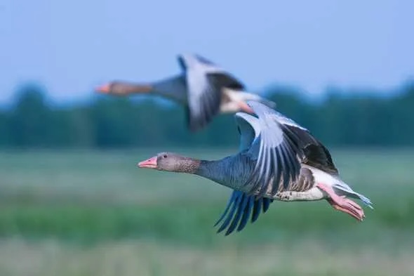 Photo by Vincent van Zalinge on Unsplash